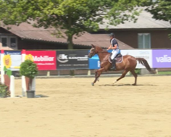Reitturnier Dagmersellen 2019