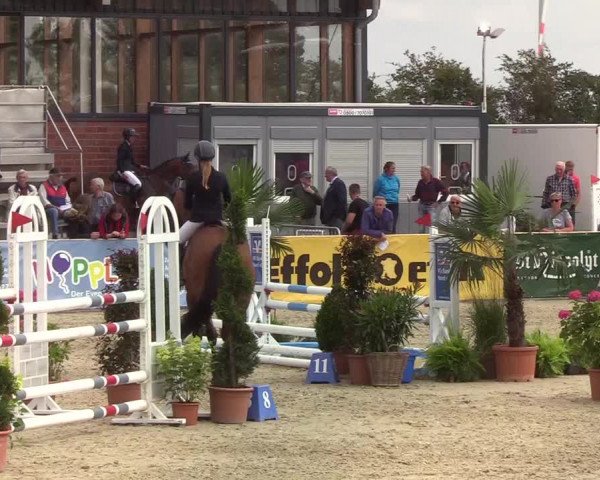 Reitturnier Hörup 2019