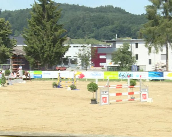 Reitturnier Dagmersellen 2019