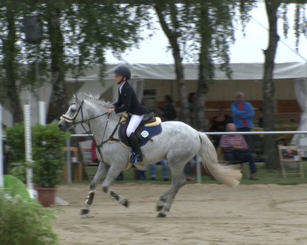 Reitturnier Herbern 2019