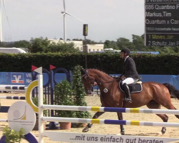 Reitturnier Hörup 2019