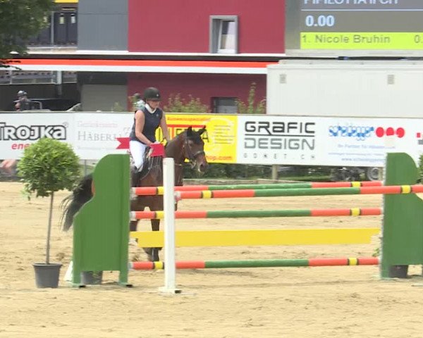 Reitturnier Dagmersellen 2019