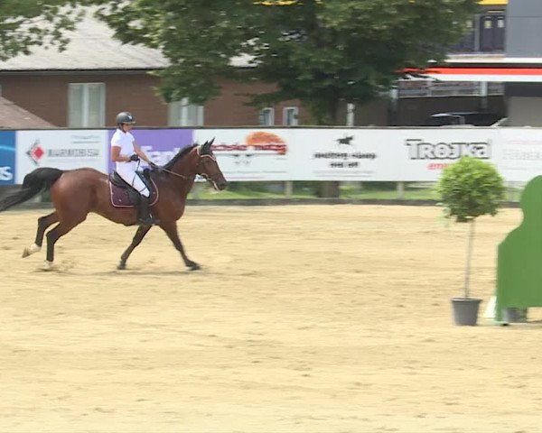 Reitturnier Dagmersellen 2019