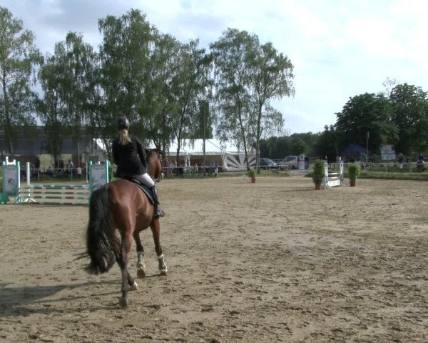 Reitturnier Herbern 2019