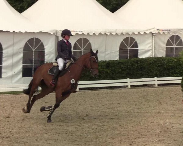 Reitturnier Hörup 2019