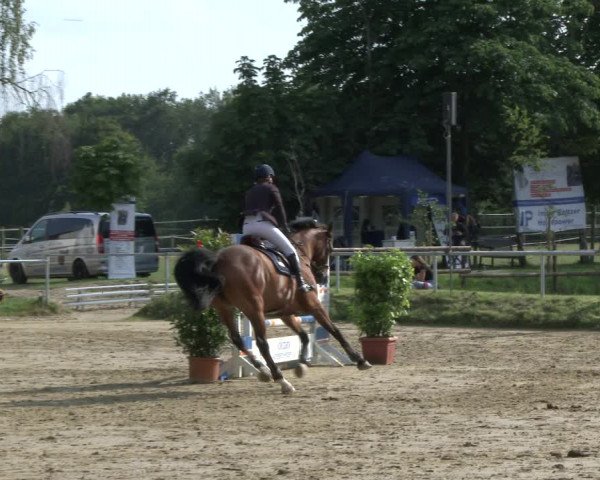 Reitturnier Herbern 2019