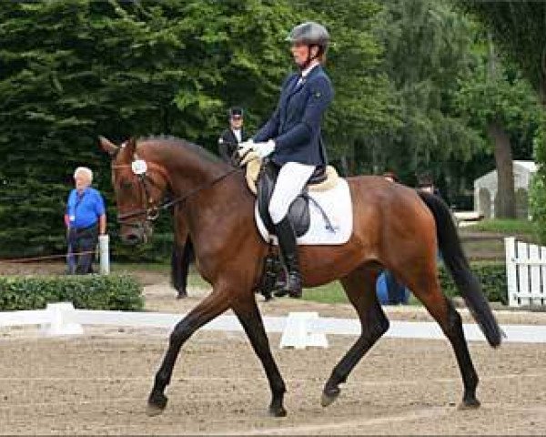 dressage horse Shevan (Trakehner, 2010, from Van Deyk)
