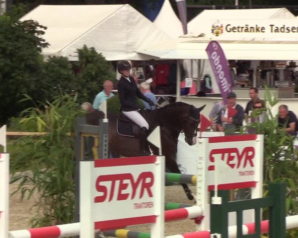 Reitturnier Hörup 2019