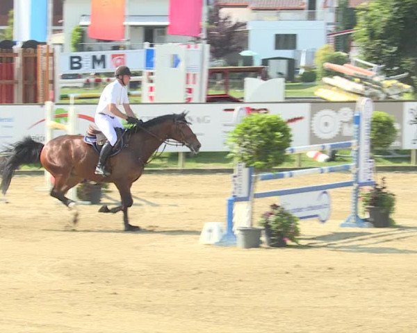 Reitturnier Dagmersellen 2019