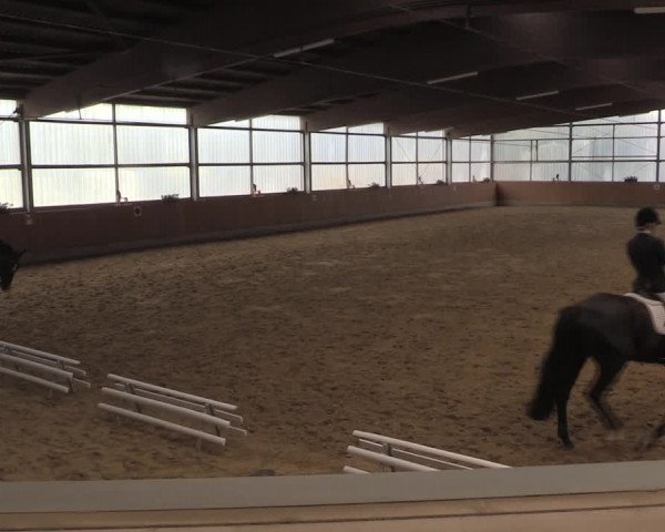 Reitturnier Herbern 2019