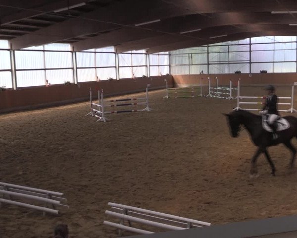 Reitturnier Herbern 2019