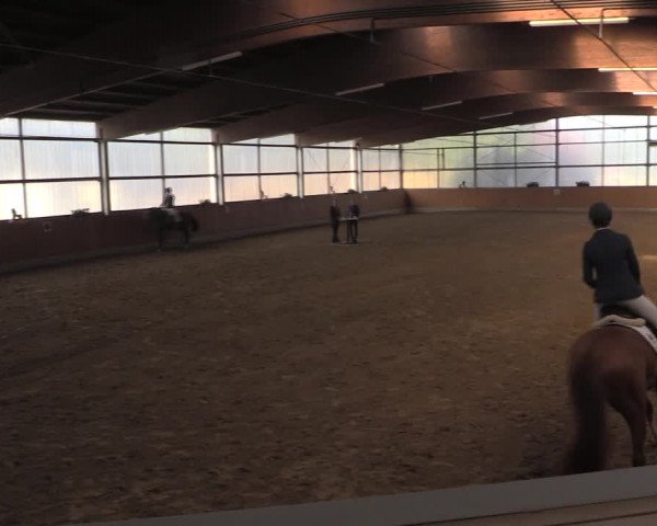Reitturnier Herbern 2019