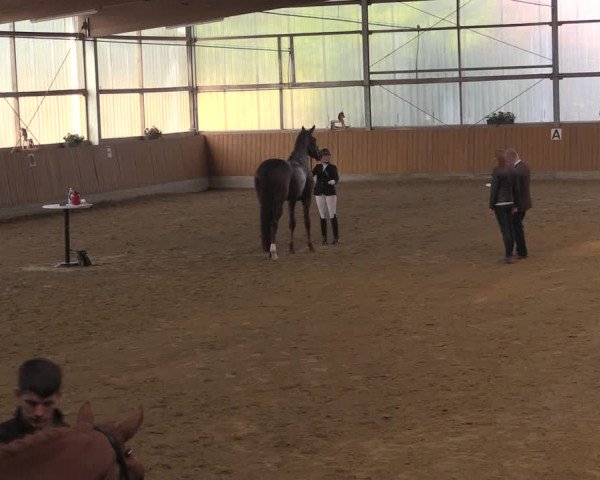 Reitturnier Herbern 2019