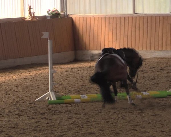 Reitturnier Herbern 2019