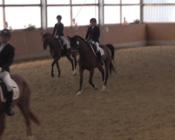 Reitturnier Herbern 2019