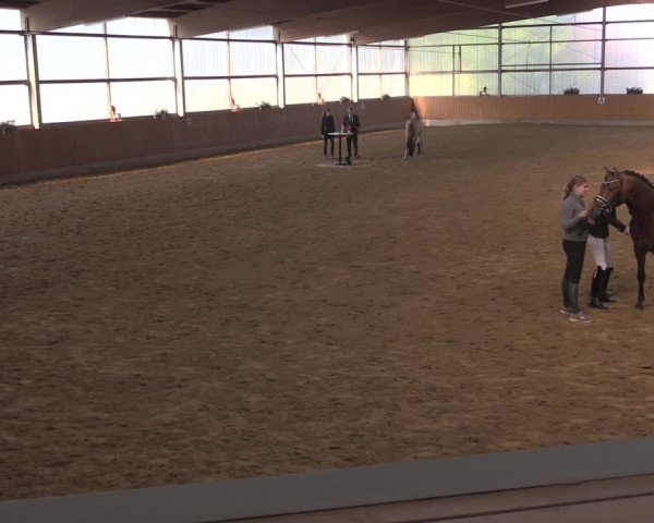 Reitturnier Herbern 2019