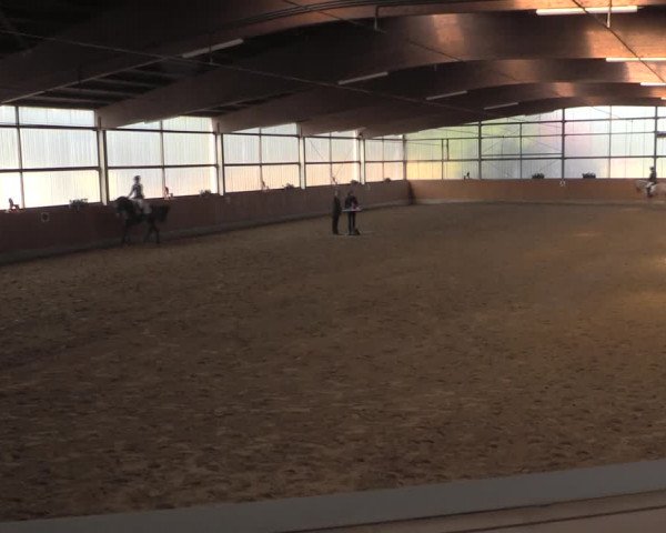 Reitturnier Herbern 2019