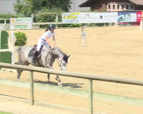 Reitturnier Dagmersellen 2019