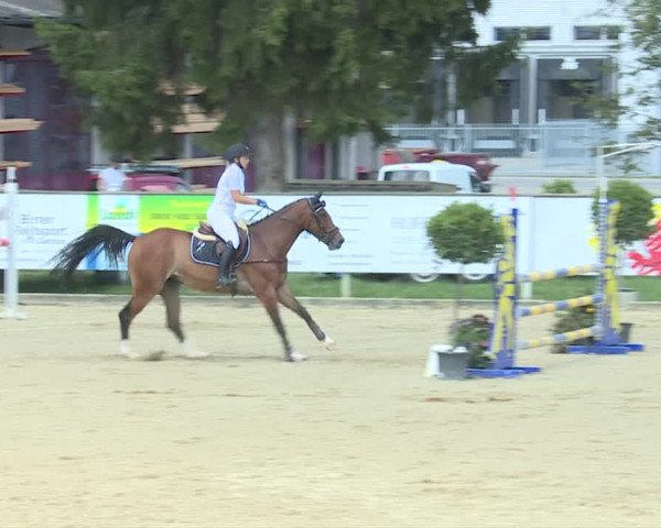 Reitturnier Dagmersellen 2019
