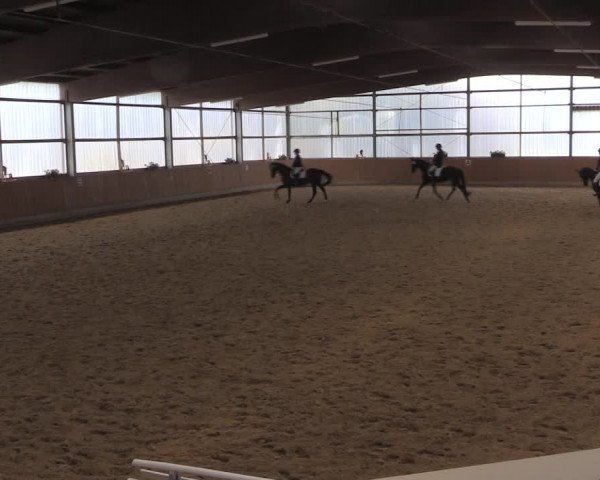 Reitturnier Herbern 2019