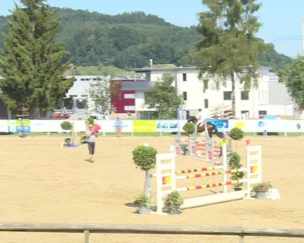 Reitturnier Dagmersellen 2019