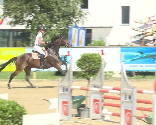 Reitturnier Dagmersellen 2019