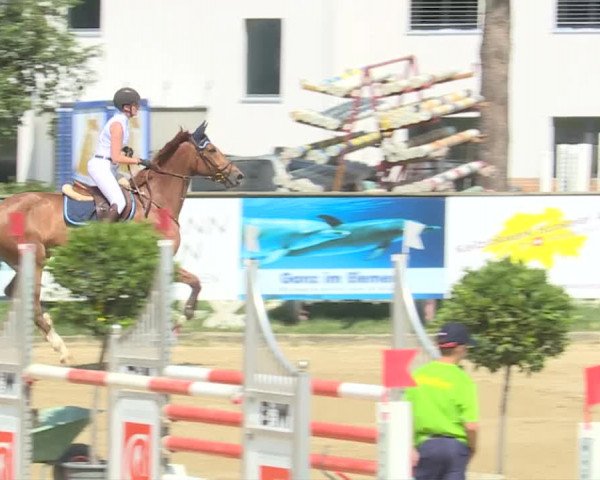 Reitturnier Dagmersellen 2019