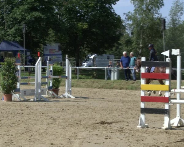 Reitturnier Herbern 2019