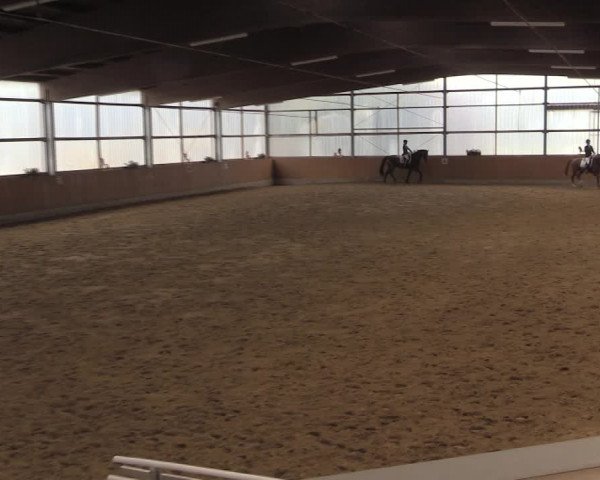 Reitturnier Herbern 2019
