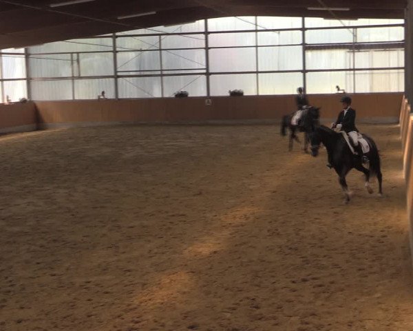 Reitturnier Herbern 2019