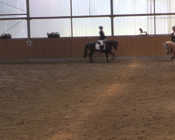 Reitturnier Herbern 2019