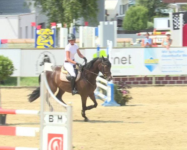 Reitturnier Dagmersellen 2019