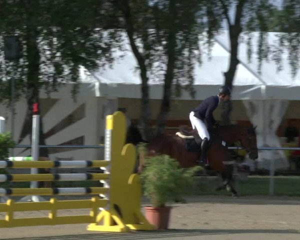Reitturnier Herbern 2019