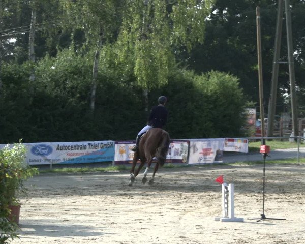 Reitturnier Herbern 2019