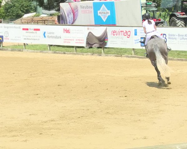 Reitturnier Dagmersellen 2019