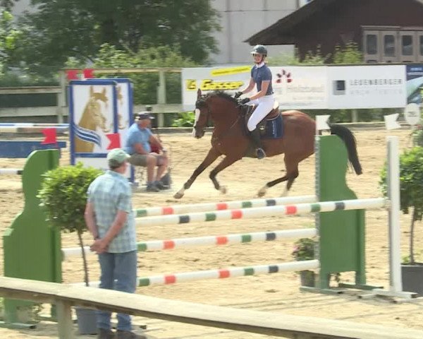 Reitturnier Dagmersellen 2019