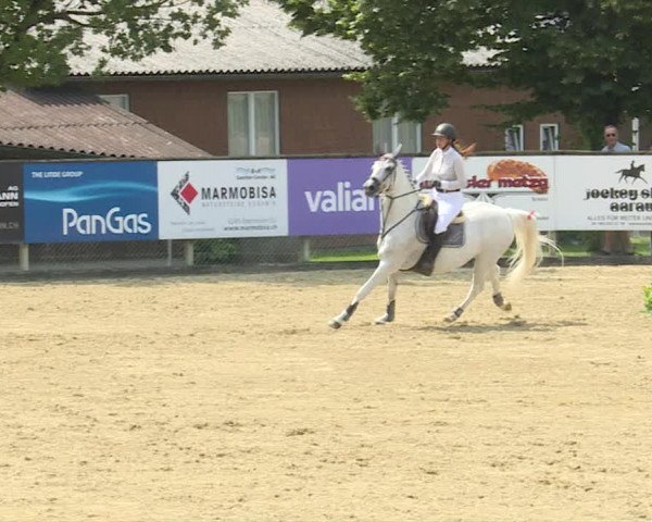 Reitturnier Dagmersellen 2019