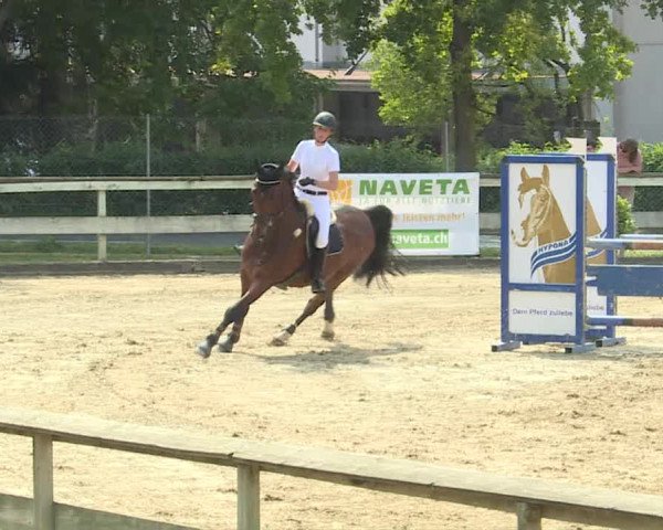 Reitturnier Dagmersellen 2019