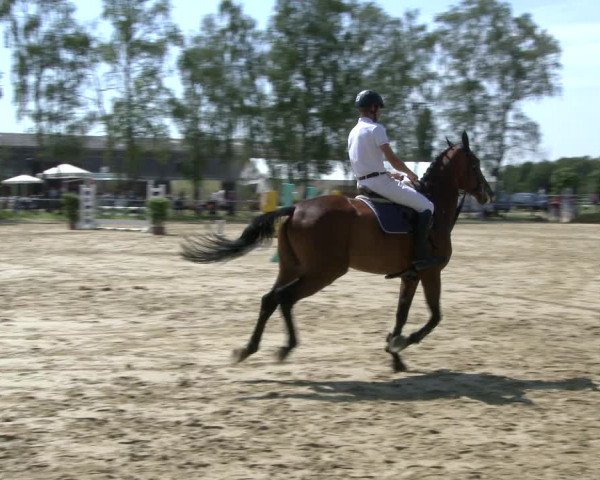 Reitturnier Herbern 2019