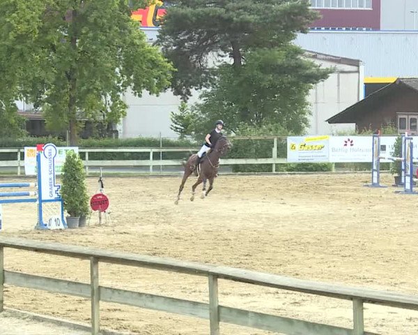 Reitturnier Dagmersellen 2019