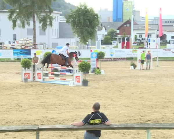 Reitturnier Dagmersellen 2019