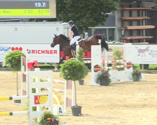Reitturnier Dagmersellen 2019