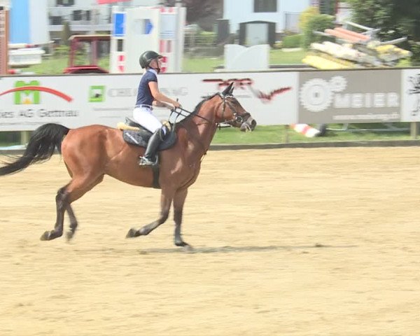 Reitturnier Dagmersellen 2019