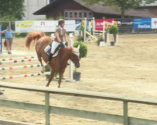 Reitturnier Dagmersellen 2019