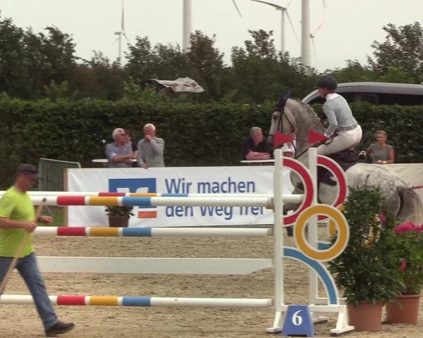 Reitturnier Hörup 2019