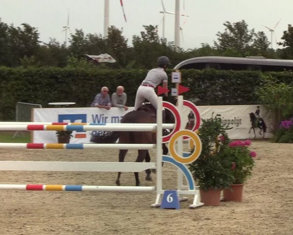 Reitturnier Hörup 2019