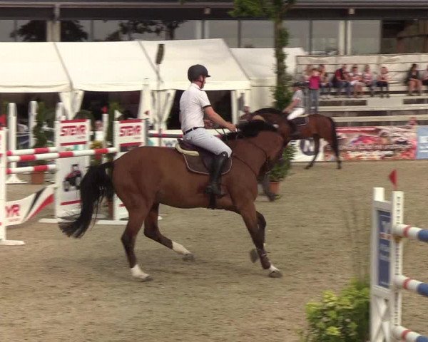 Reitturnier Hörup 2019