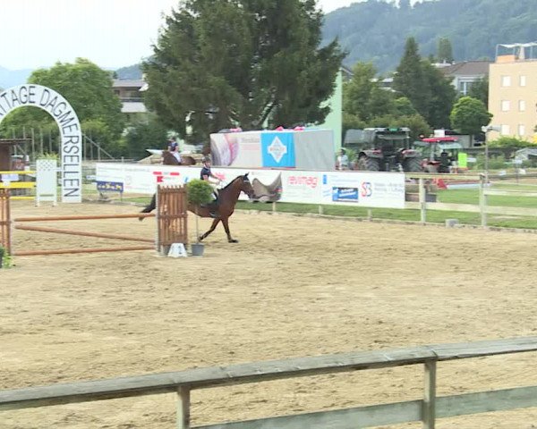 Reitturnier Dagmersellen 2019