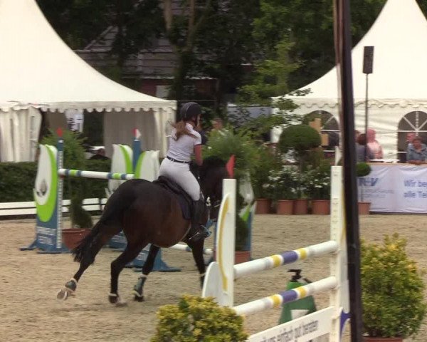 Reitturnier Hörup 2019