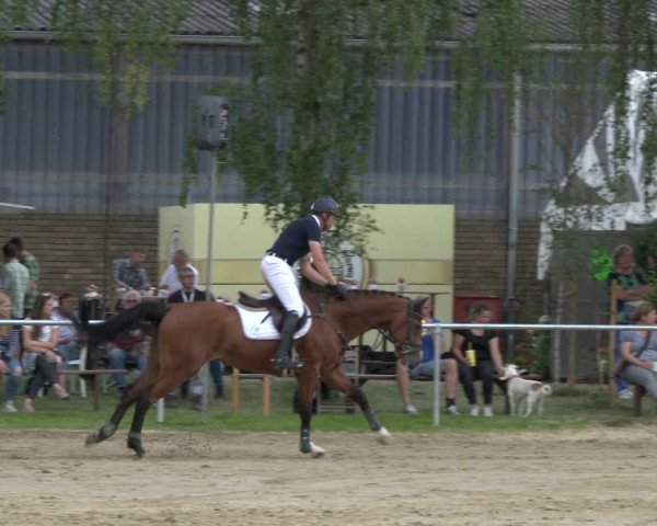 Reitturnier Herbern 2019